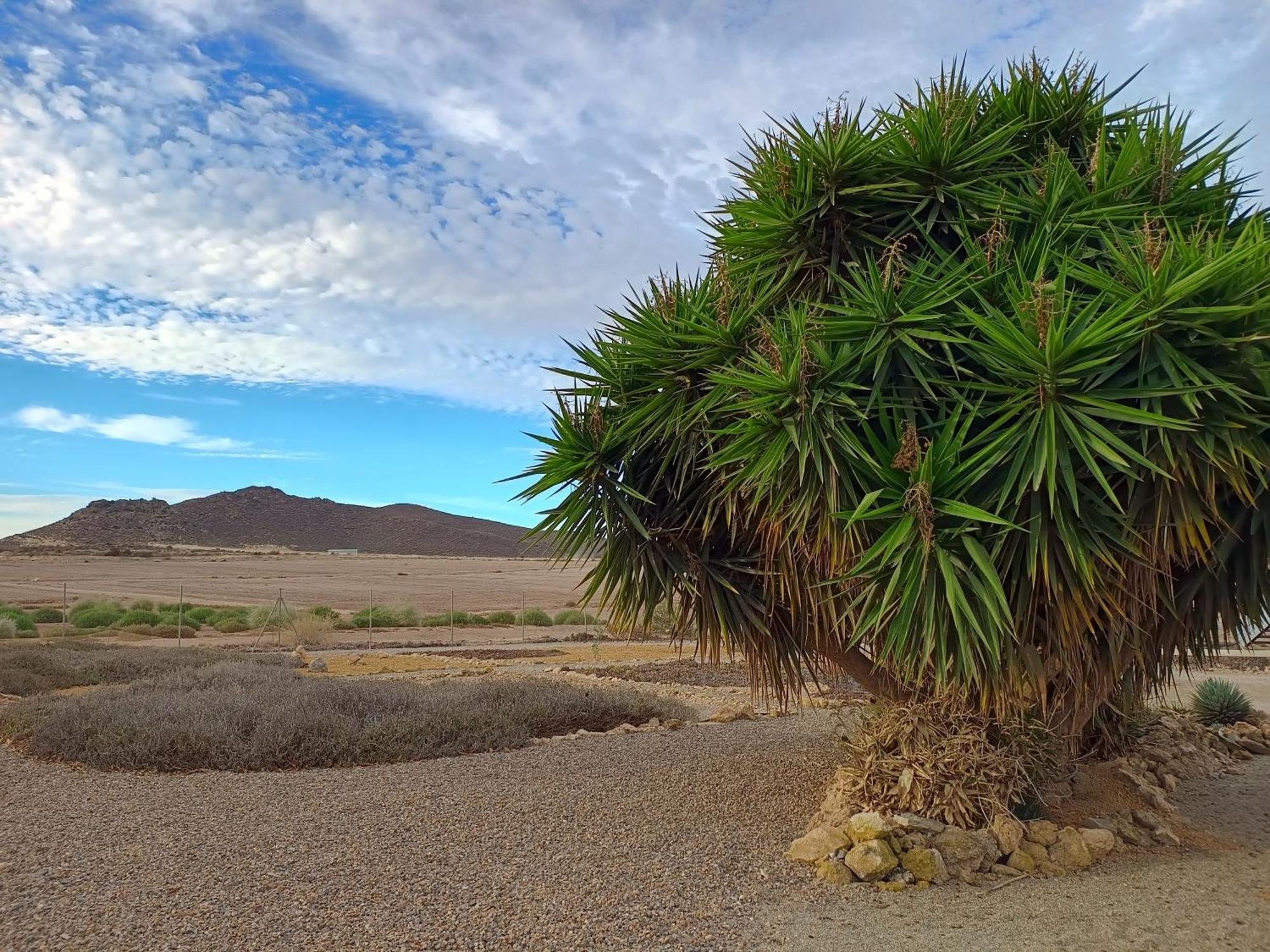 Апартаменты El Oasis Morado Лорка Экстерьер фото